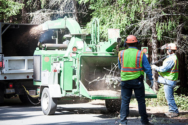 Lawn Watering Services in Fairmount, GA